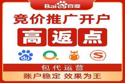 竞价排名优化策略案例分析